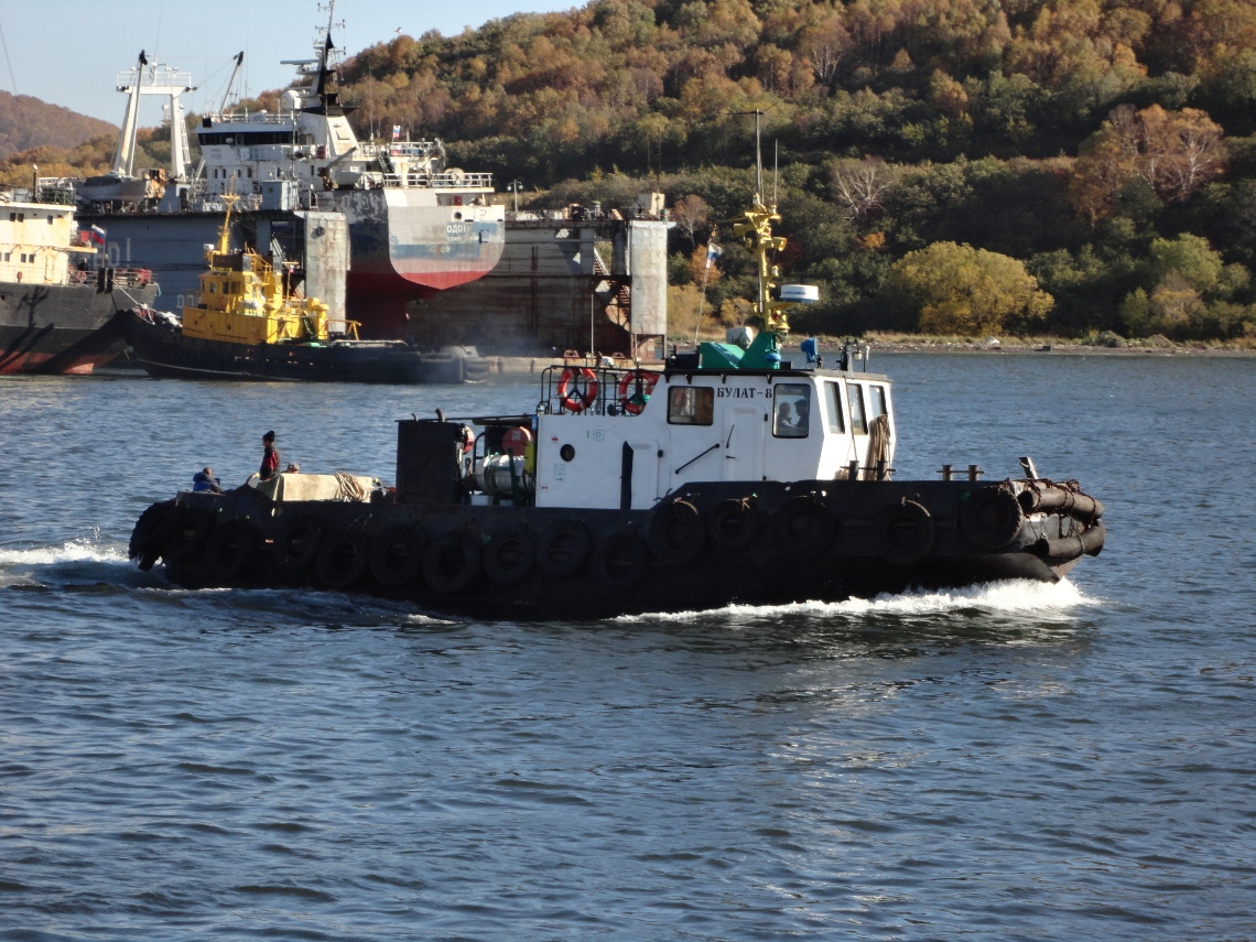 Булат-8, Капродон