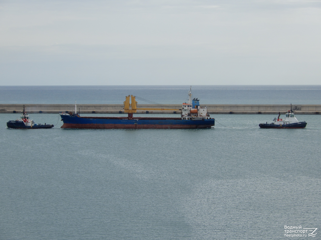 V.B.Conqueridor, Saniye Imamoglu, V.B. Vigor