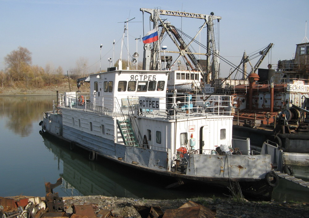 Ястреб