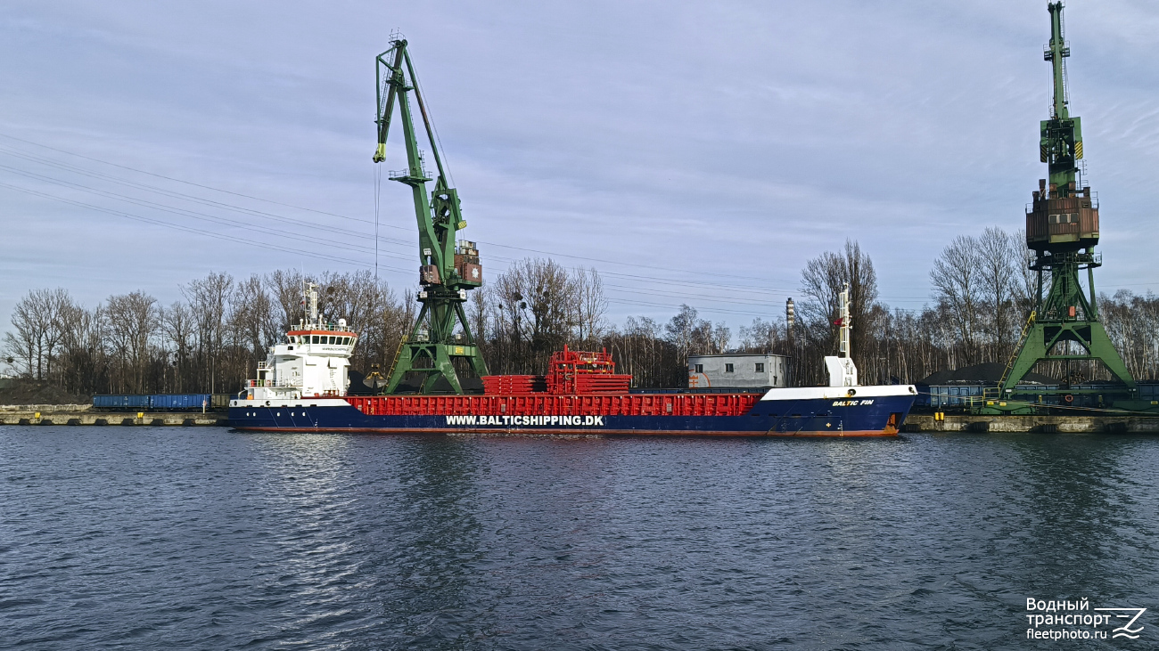 Baltic Fin