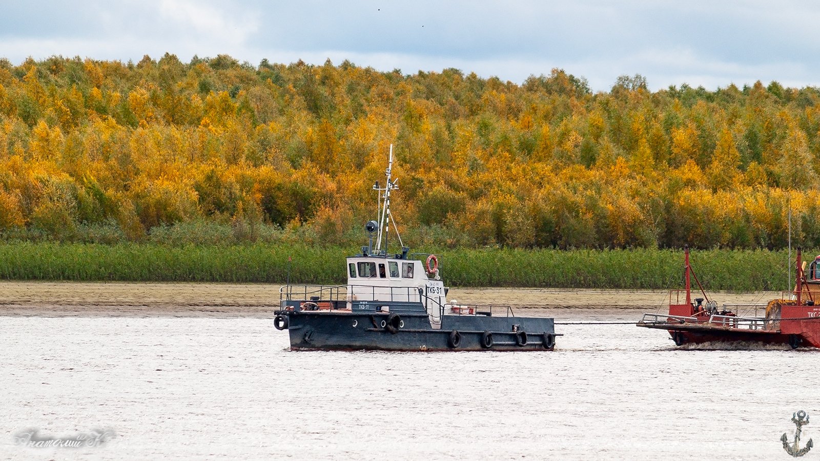 ТКБ-31