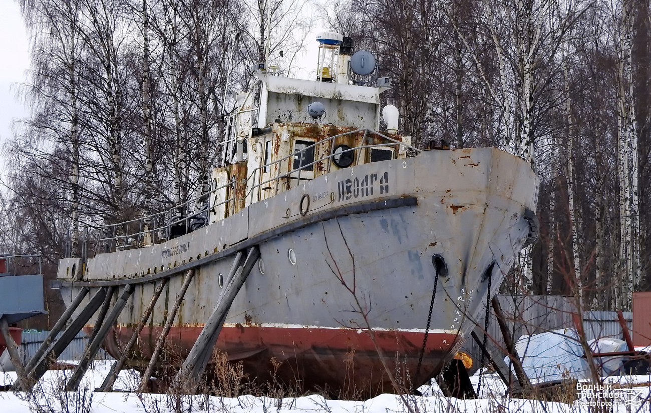 Иволга