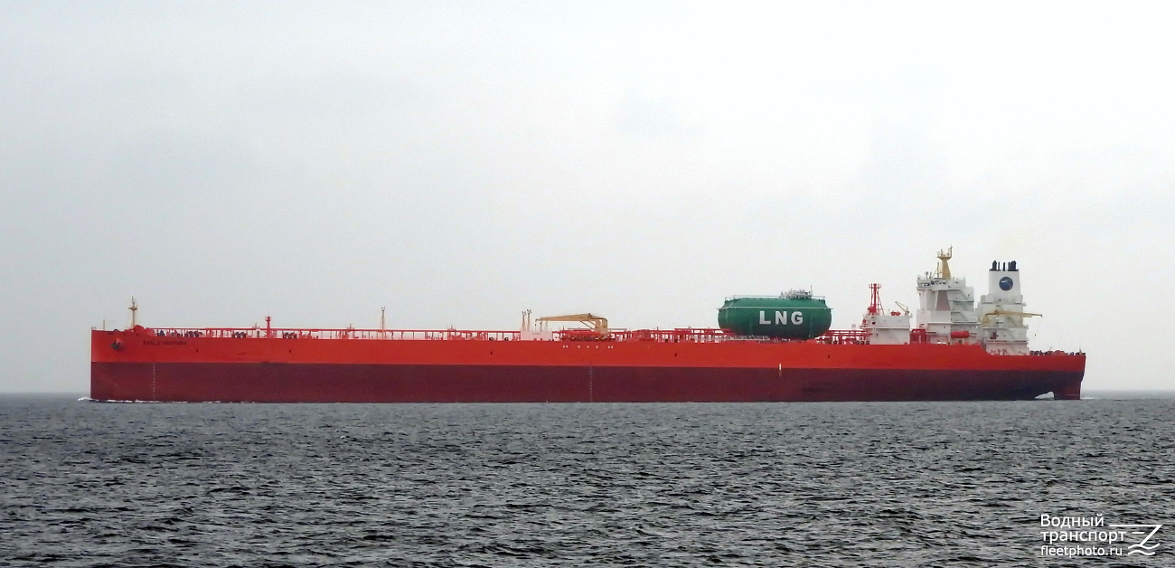 Eagle Ventura