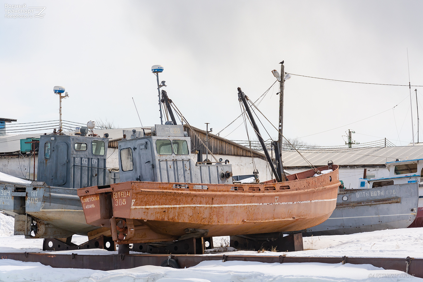 Бот №604