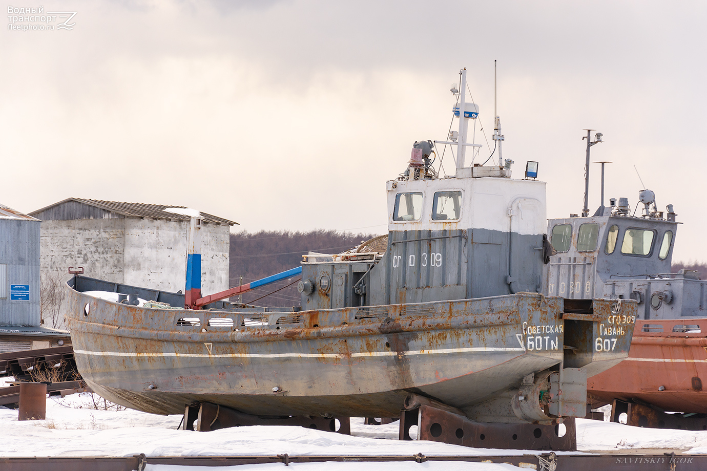 Бот №607