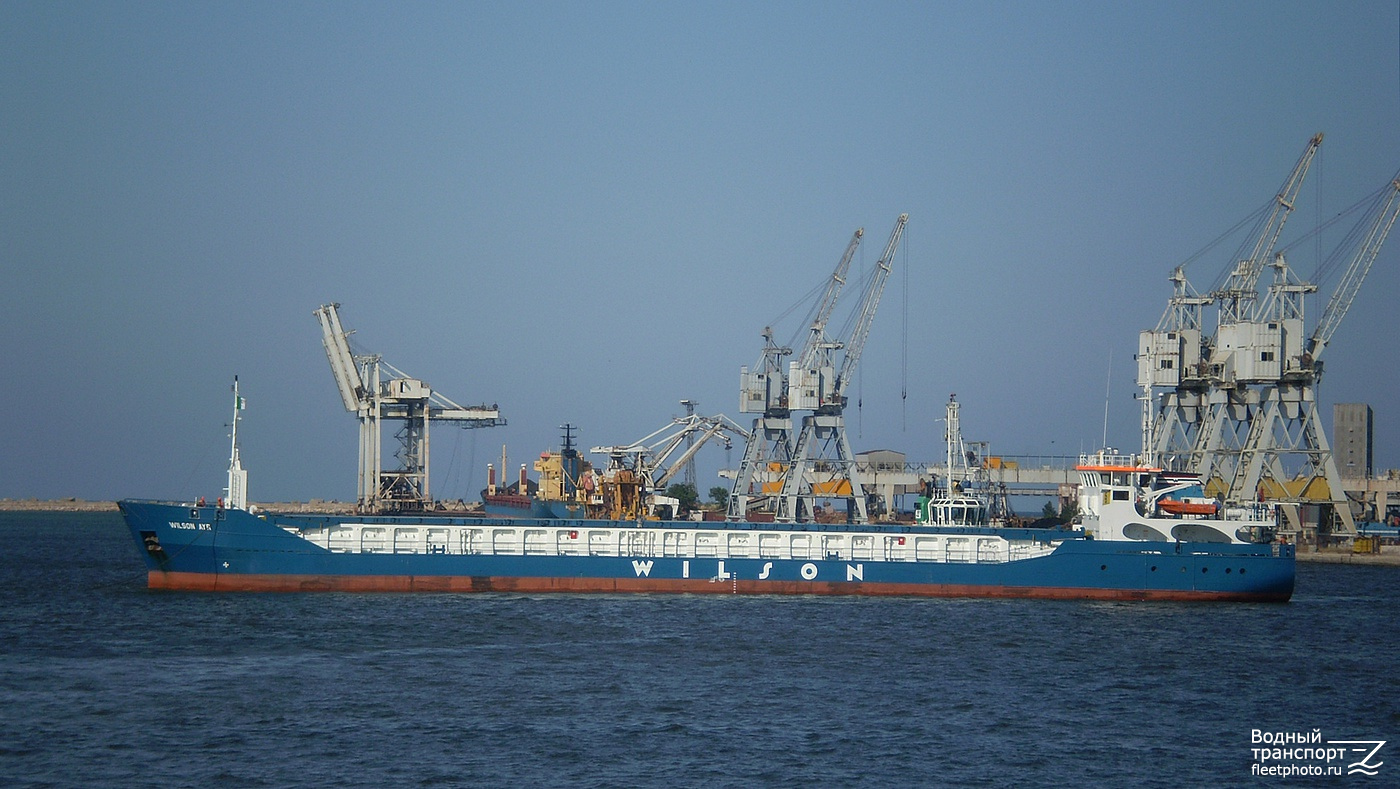 Wilson Ayr
