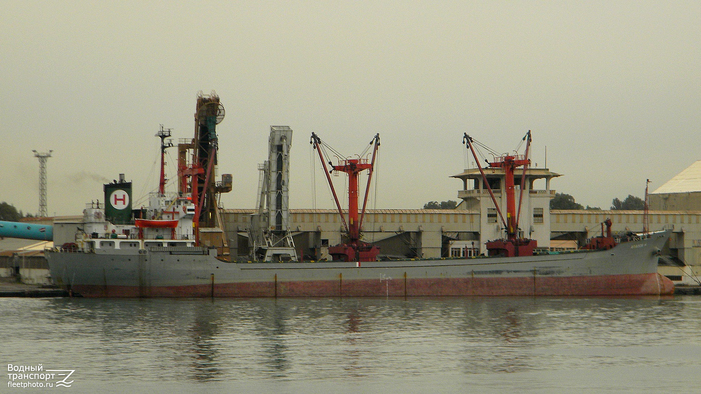 Arados H