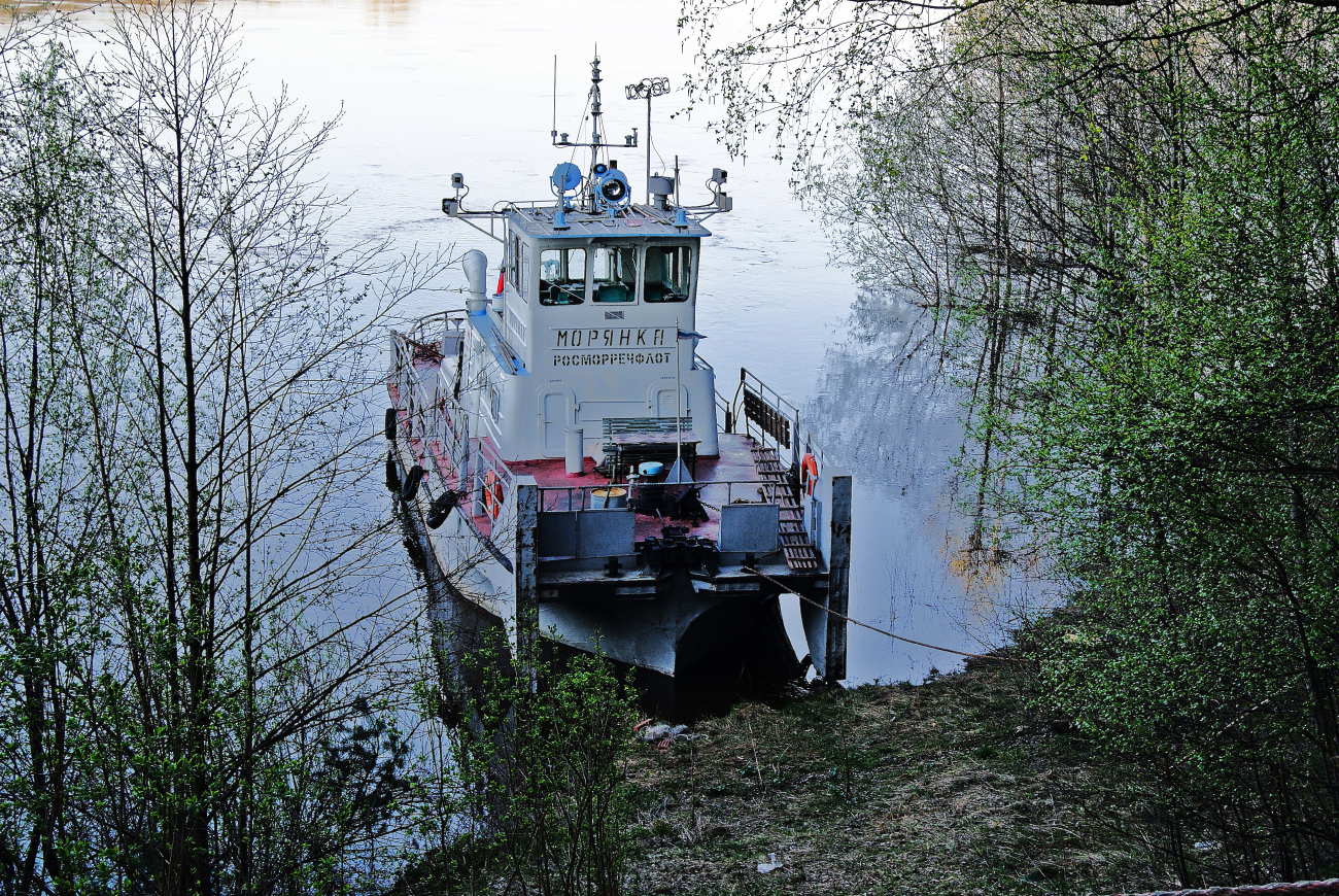 Морянка