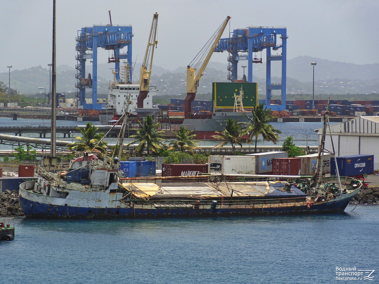Lady Grace II
