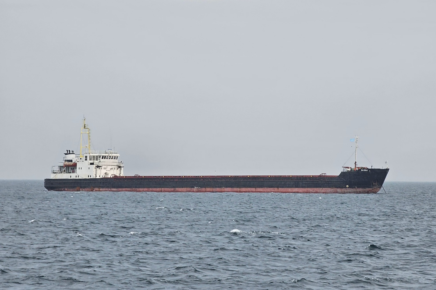 Walverg-4