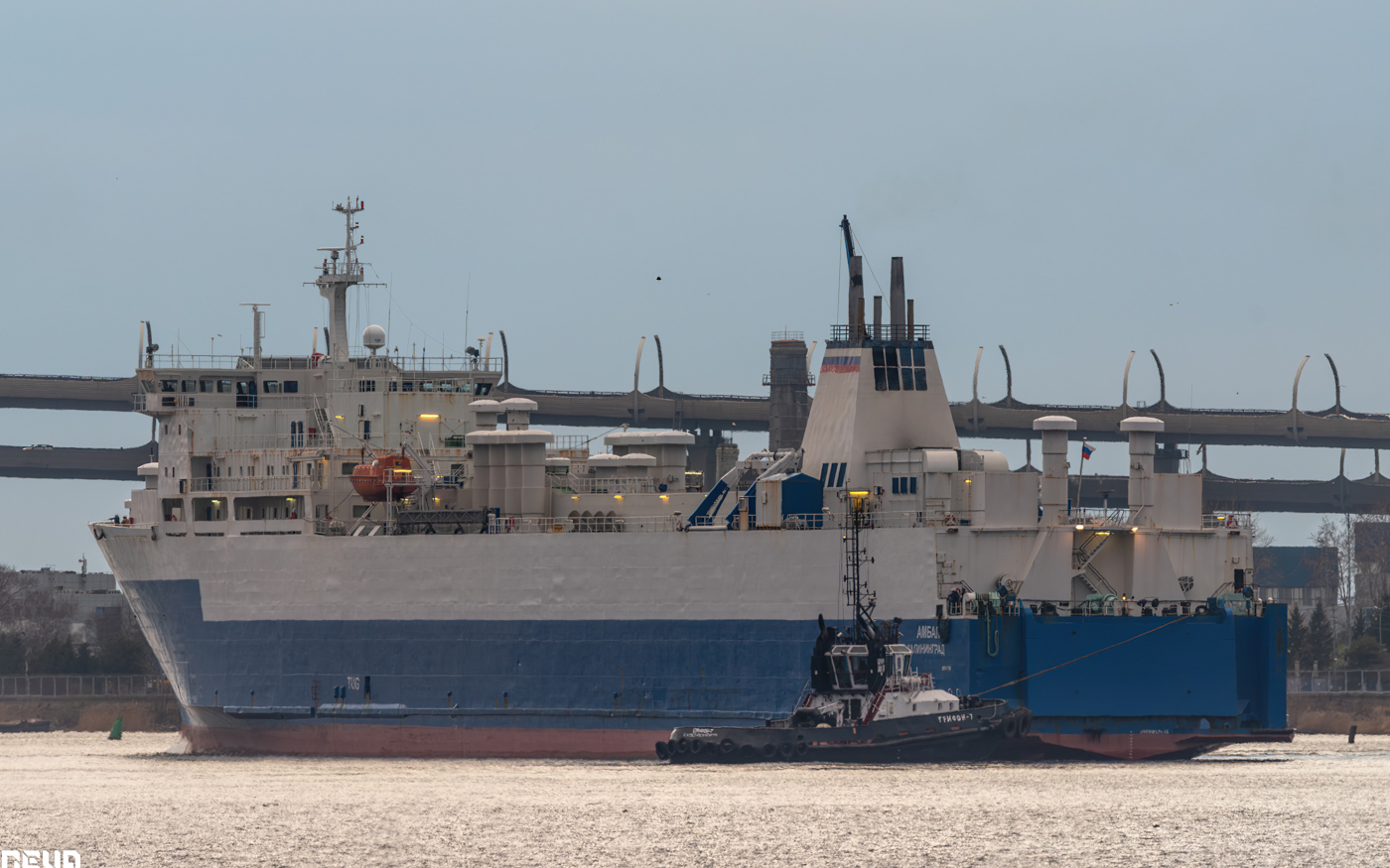 Амбал, Грифон-7