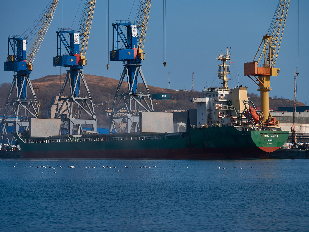 Union Glory 1