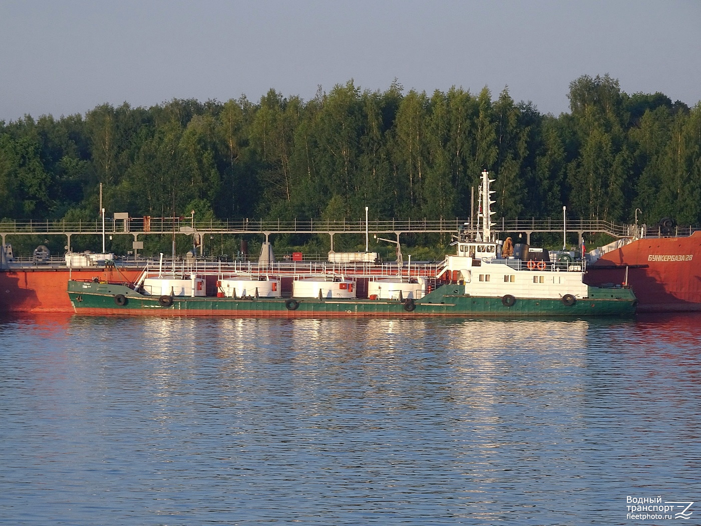 ТНМ-24