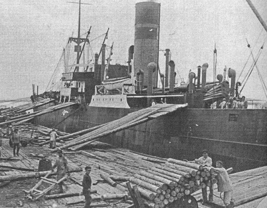 Unidentified ships, Книги, фотоальбомы и периодические издания