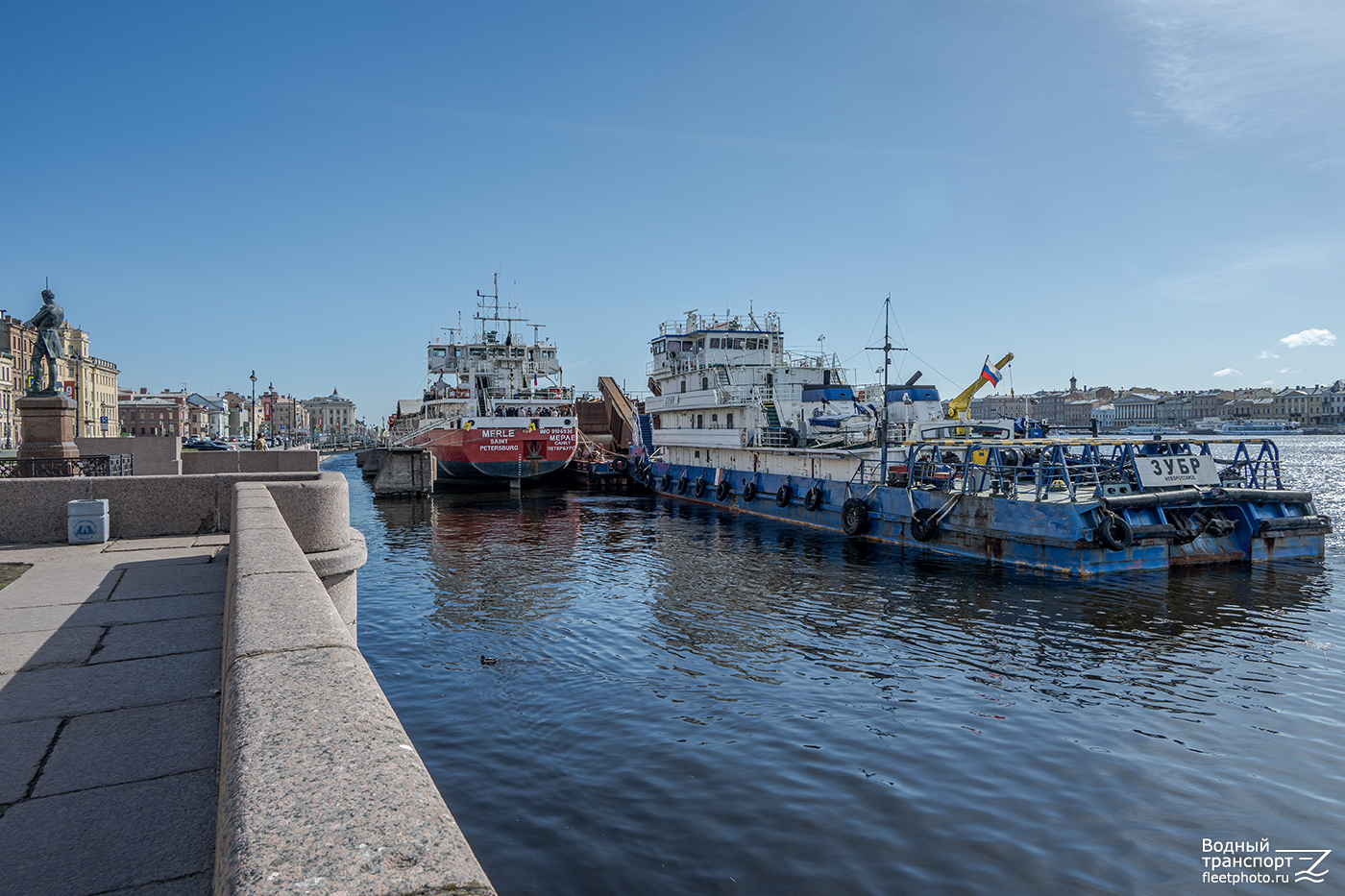Мерле, Зубр