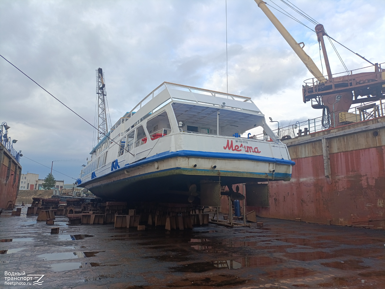 Док-2, Мечта
