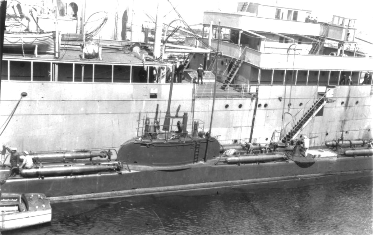 Волк, Tosno. Vessel superstructures