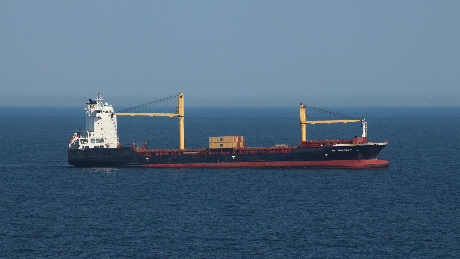 MSC Tamishka F