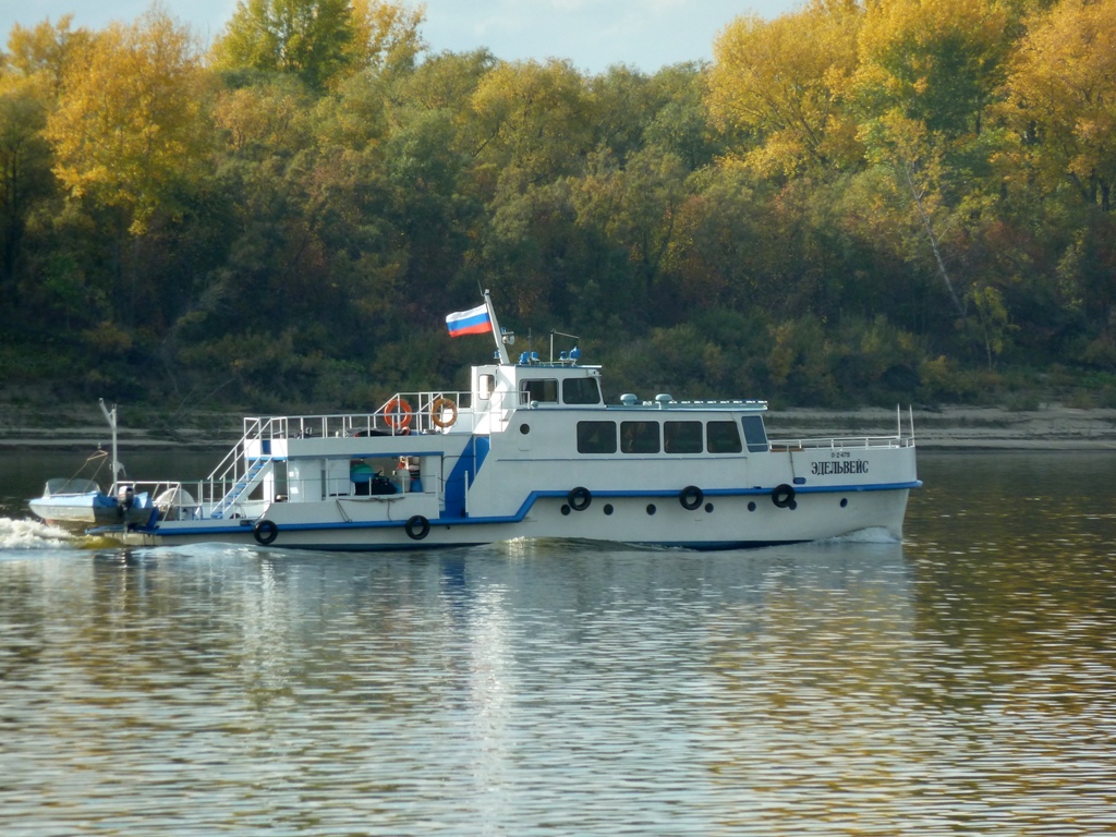 Эдельвейс