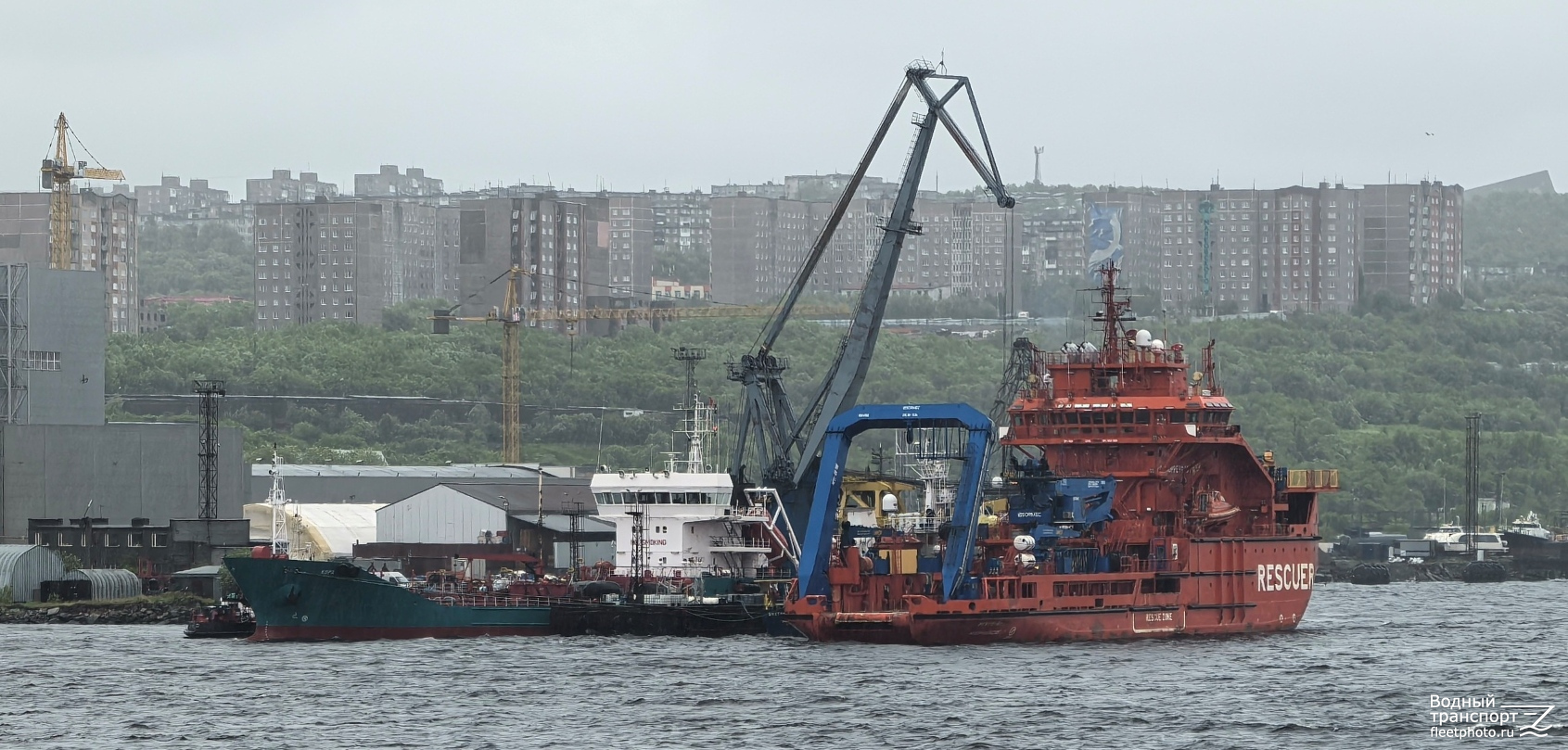 Корд, Мурман