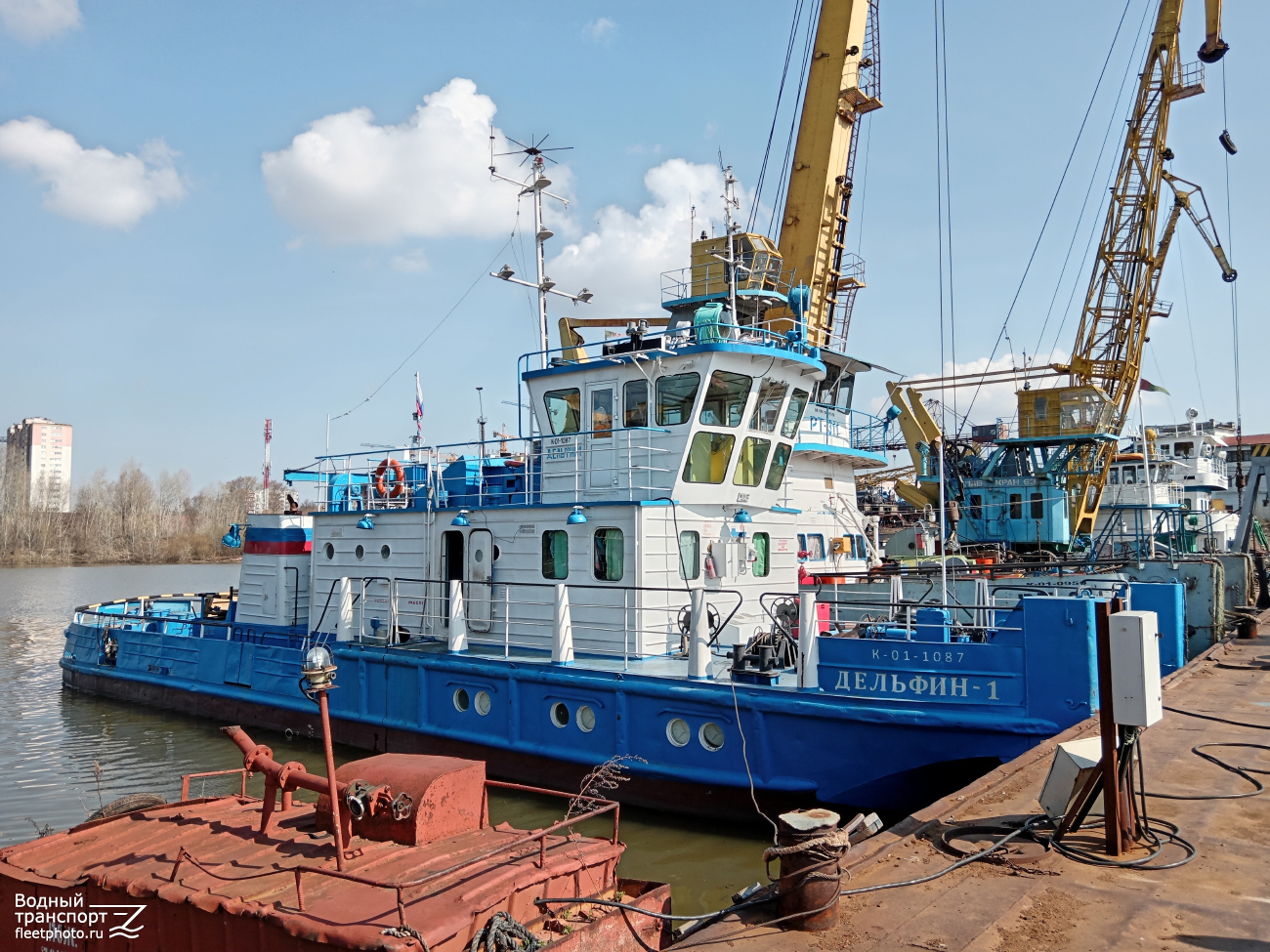Дельфин-1
