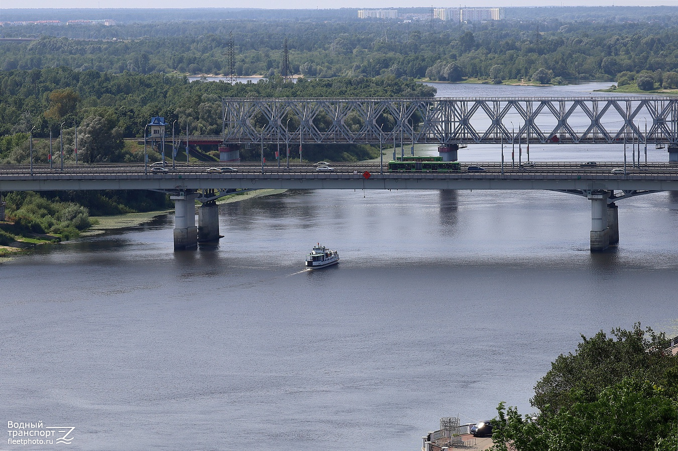 Беренгия. Беларусь