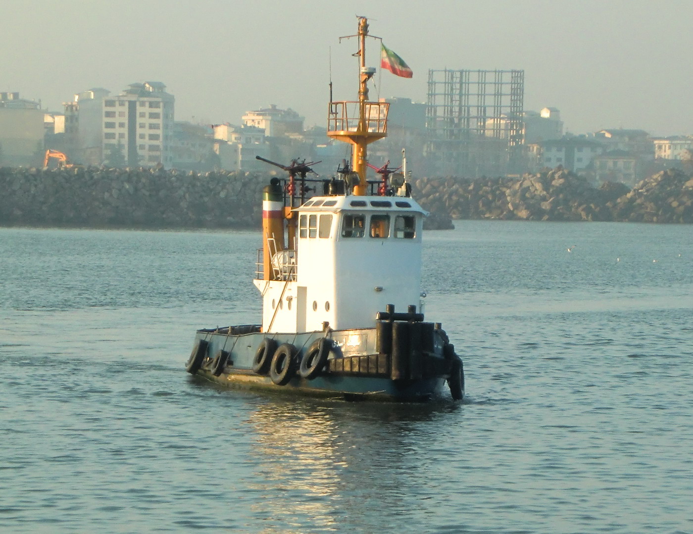 Shahid Asadi