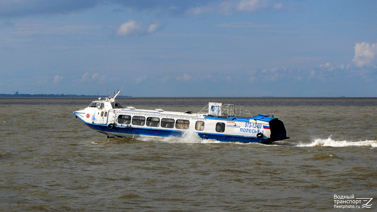 Полесье-1