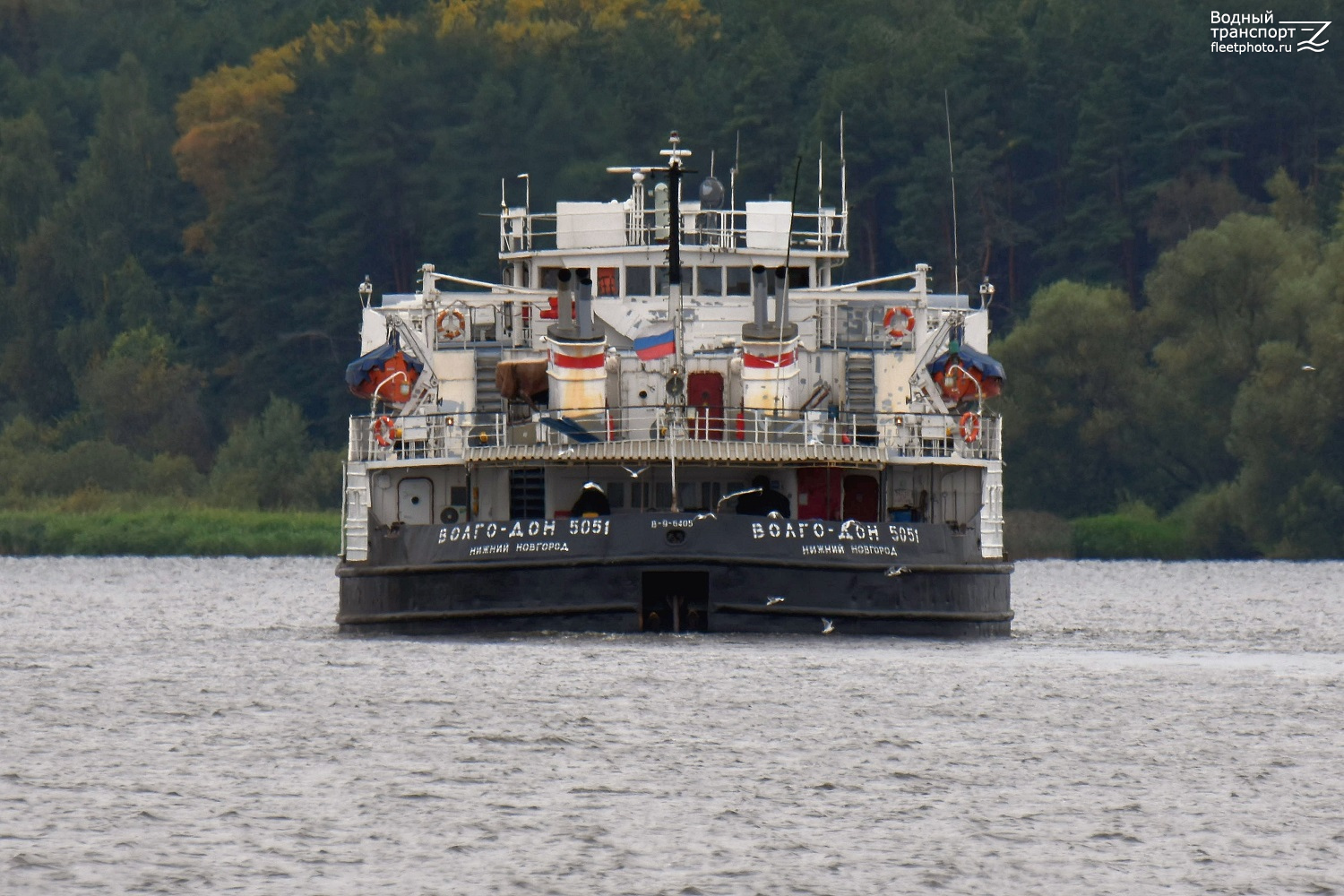 Волго-Дон 5051