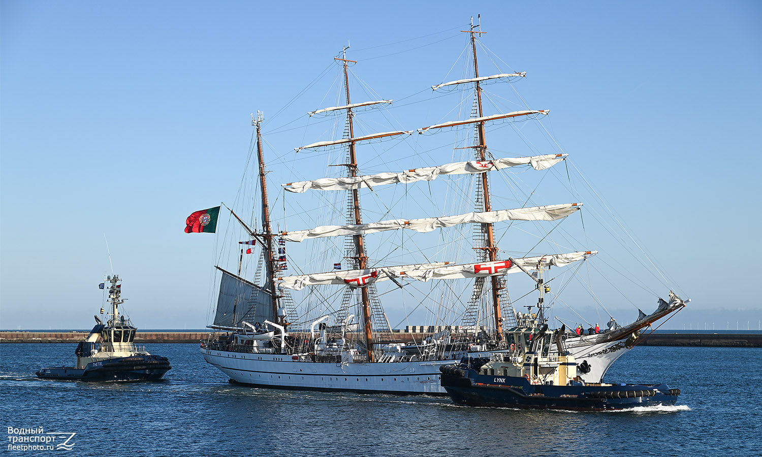 Sagres, Lynx