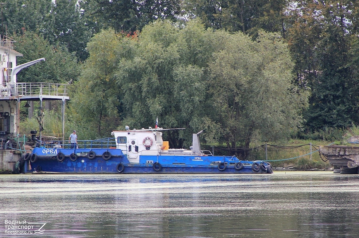 Орёл