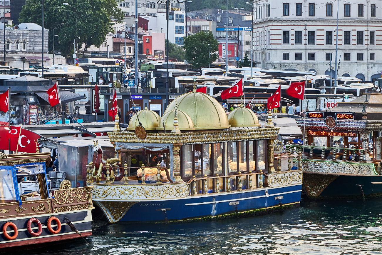Deniz Vildizi 7