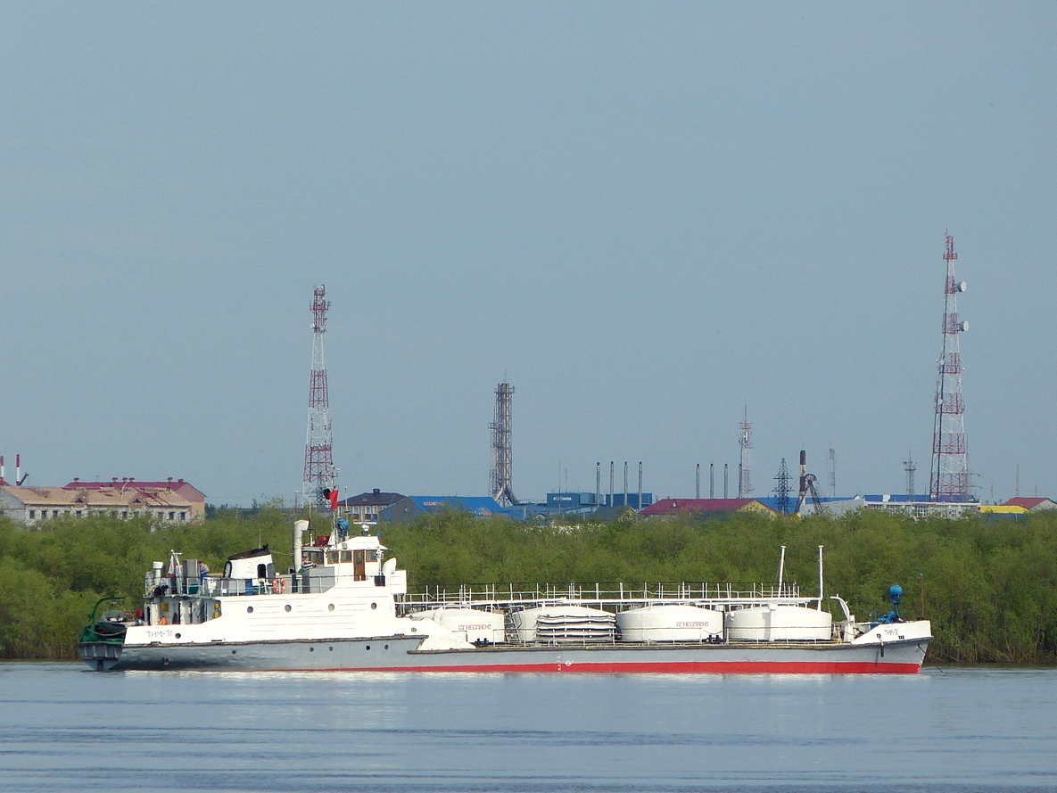 ТНМ-31