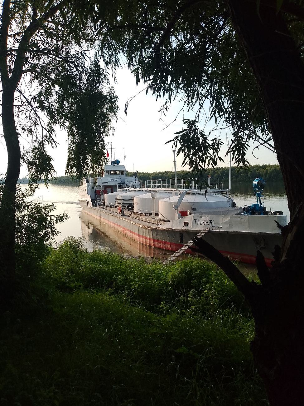ТНМ-31