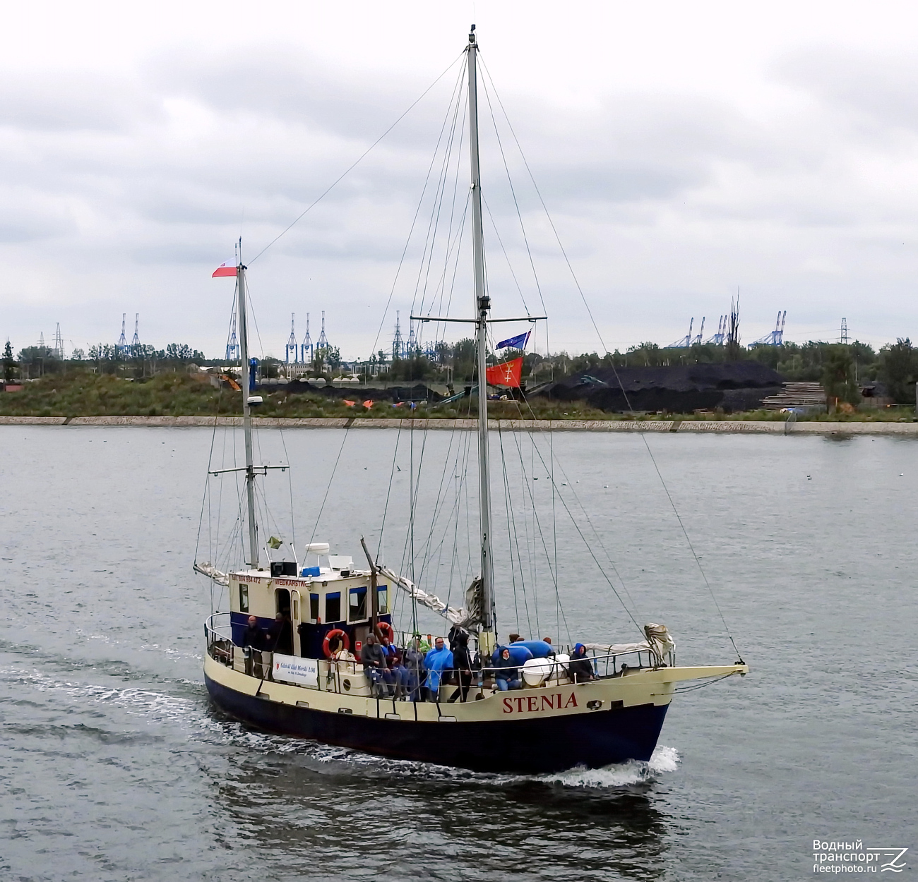 Stenia