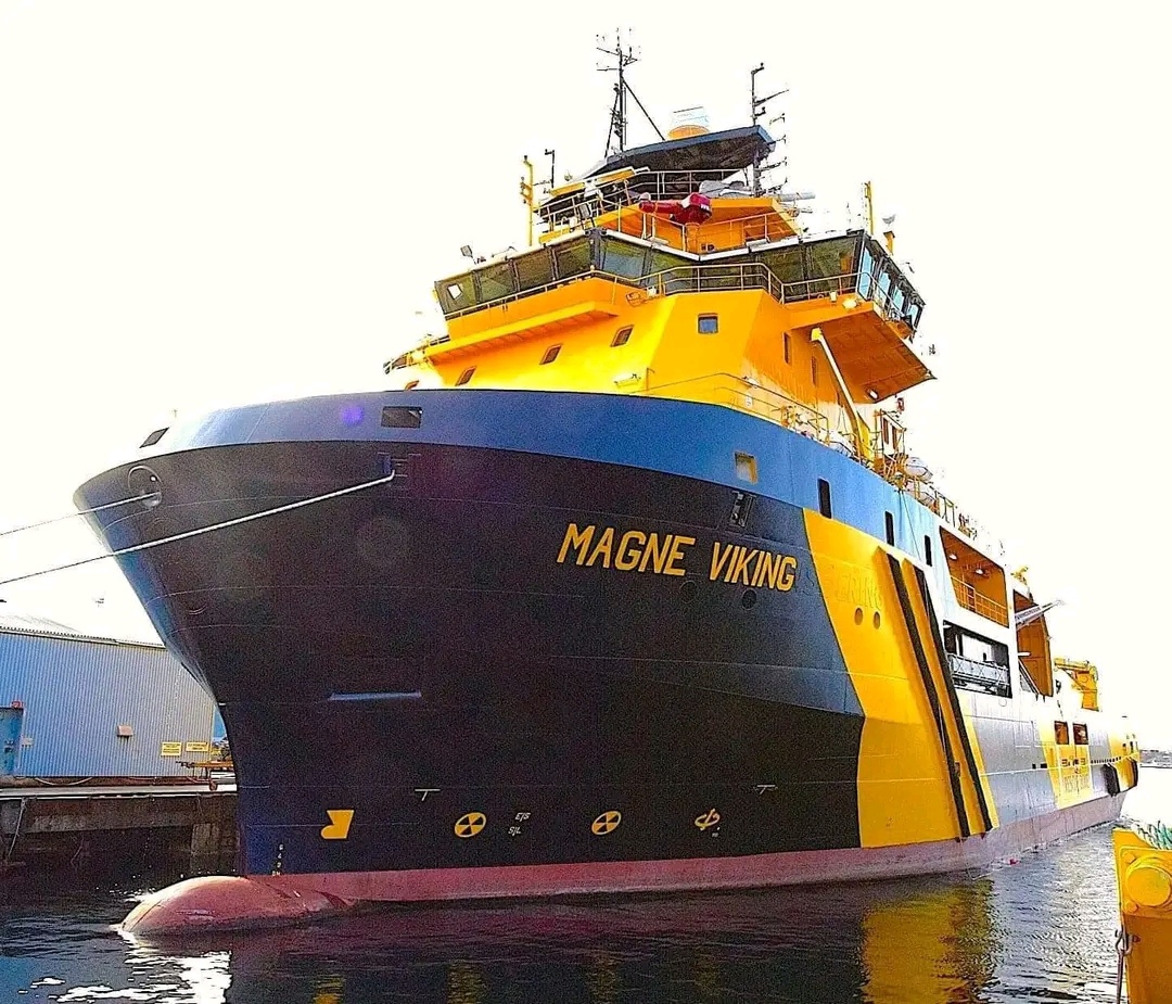 Magne Viking
