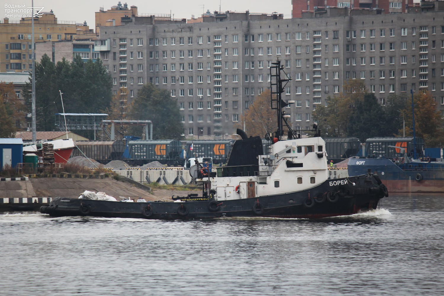 Борей