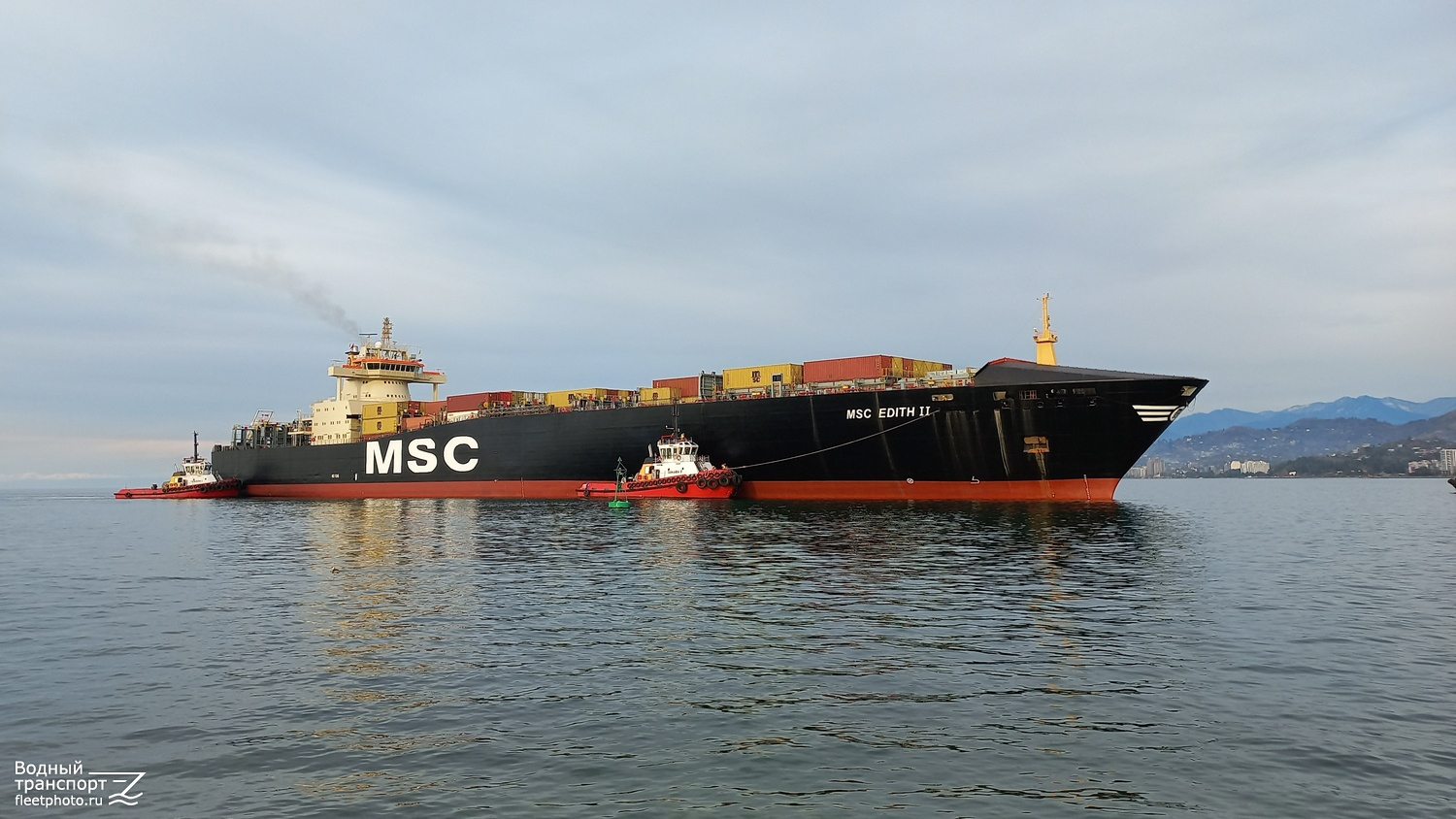 Tamara I, MSC Edith II, Tamara II