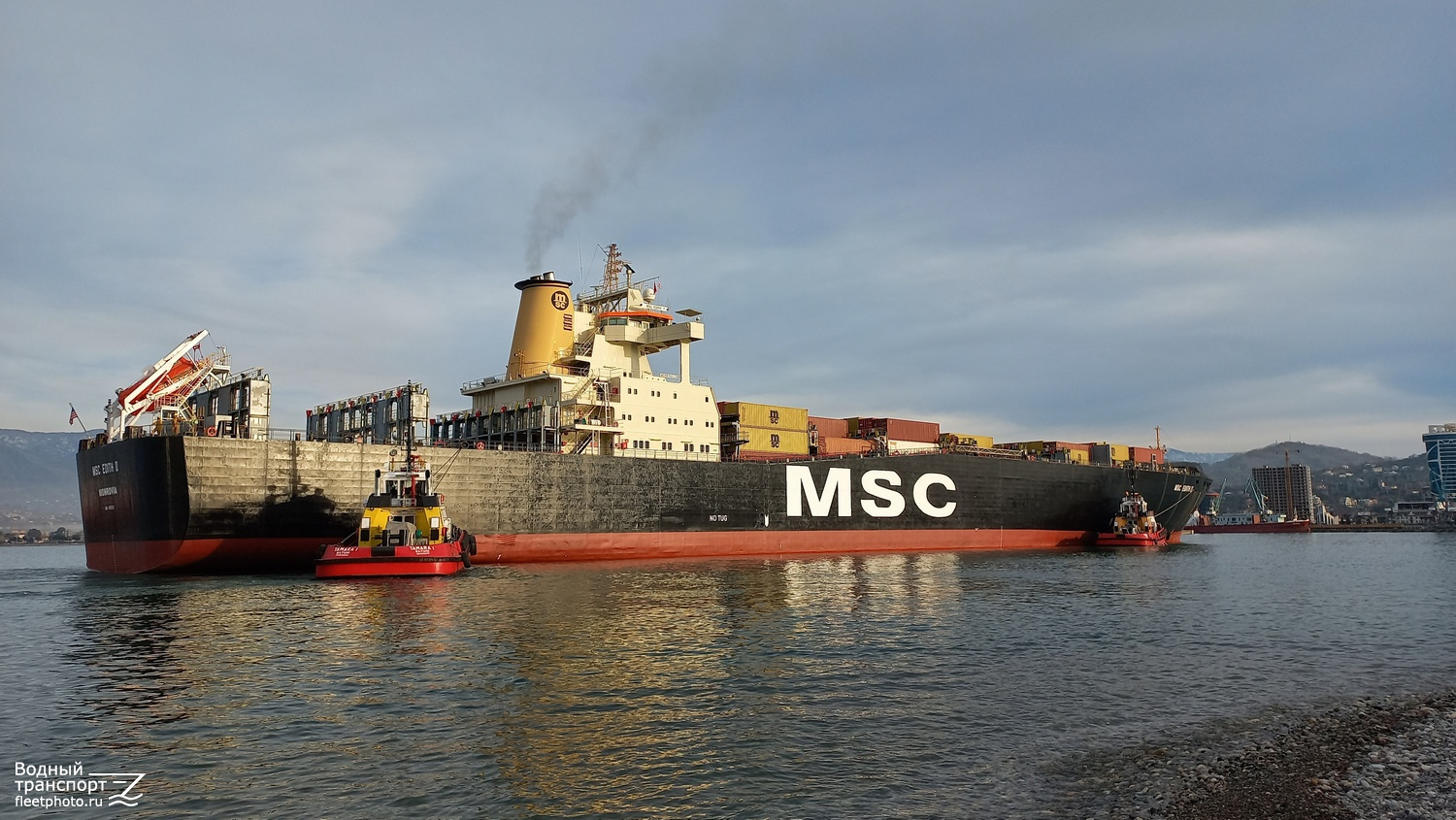 Tamara I, MSC Edith II, Tamara II