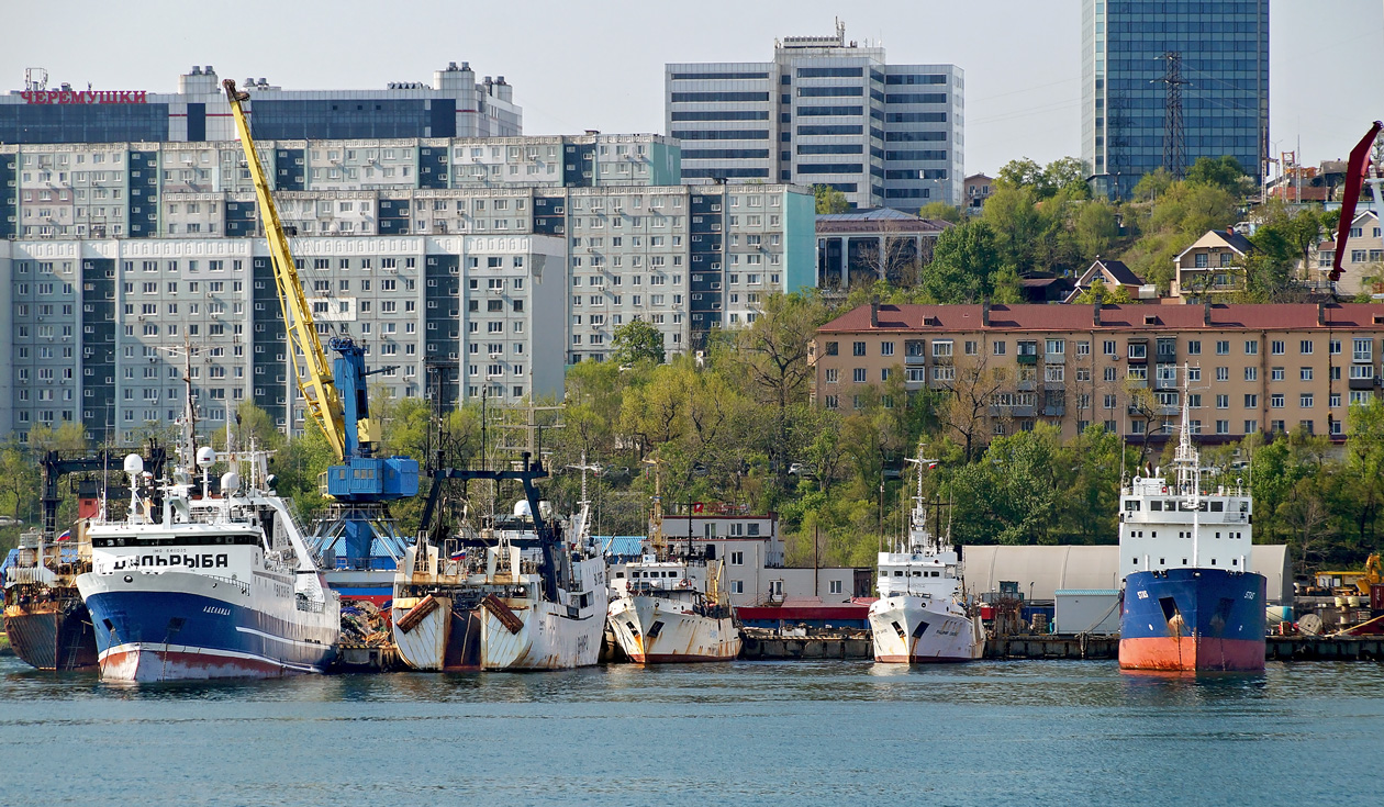 Аделаида, Тинро, Stas