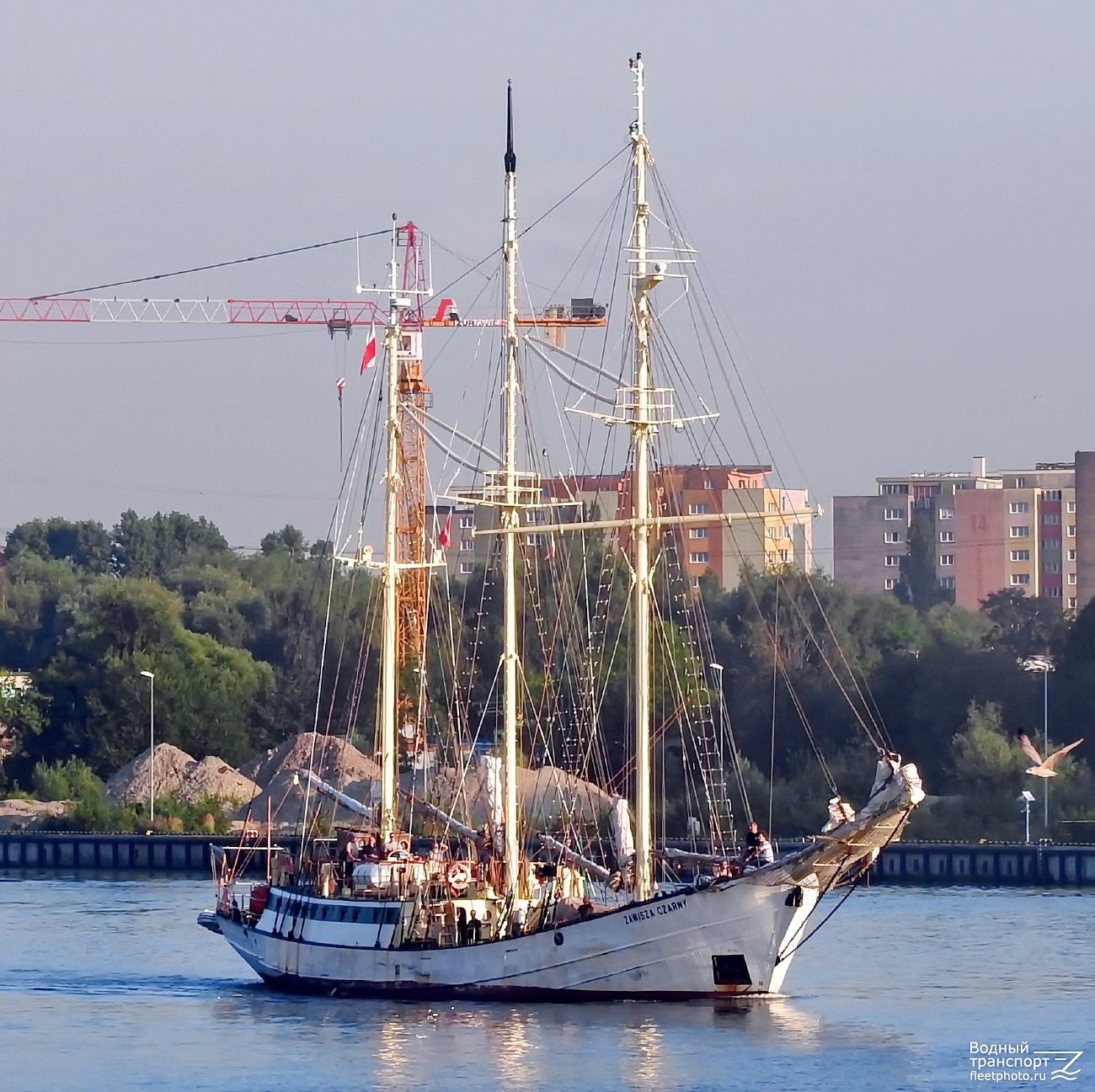Zawisza Czarny