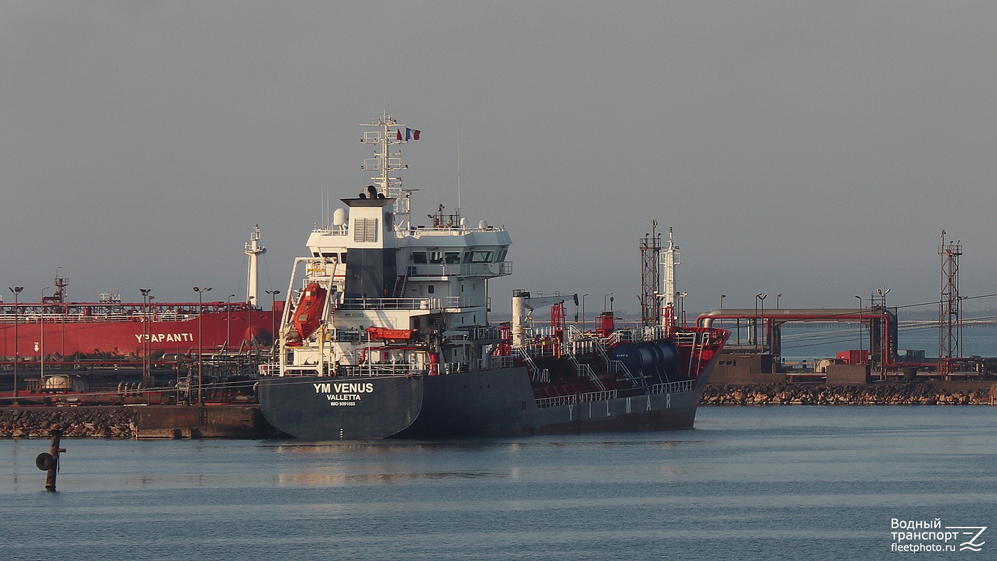 YM Venus