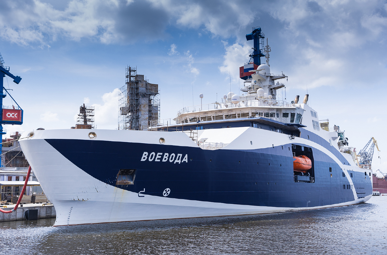 Воевода