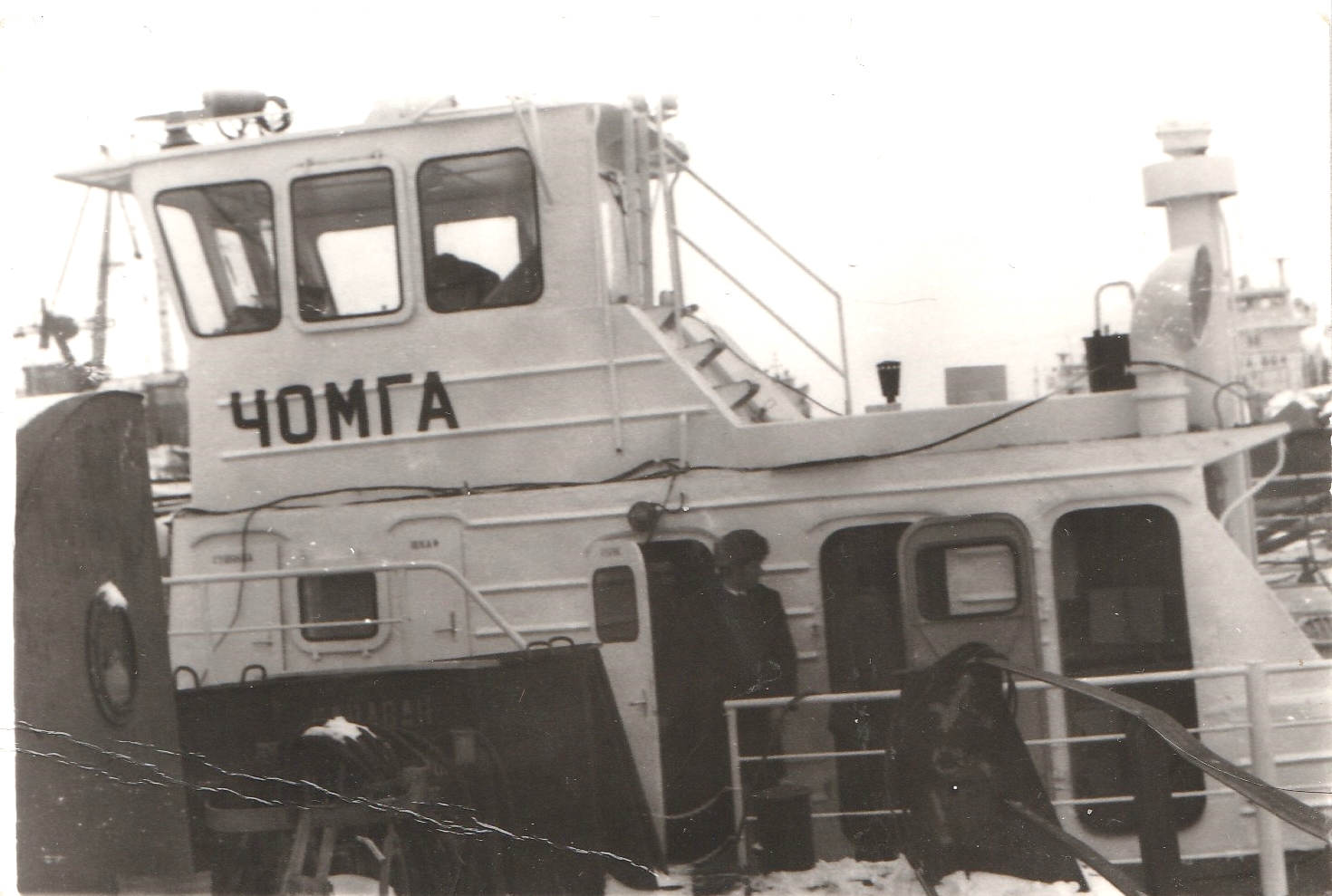 Чомга