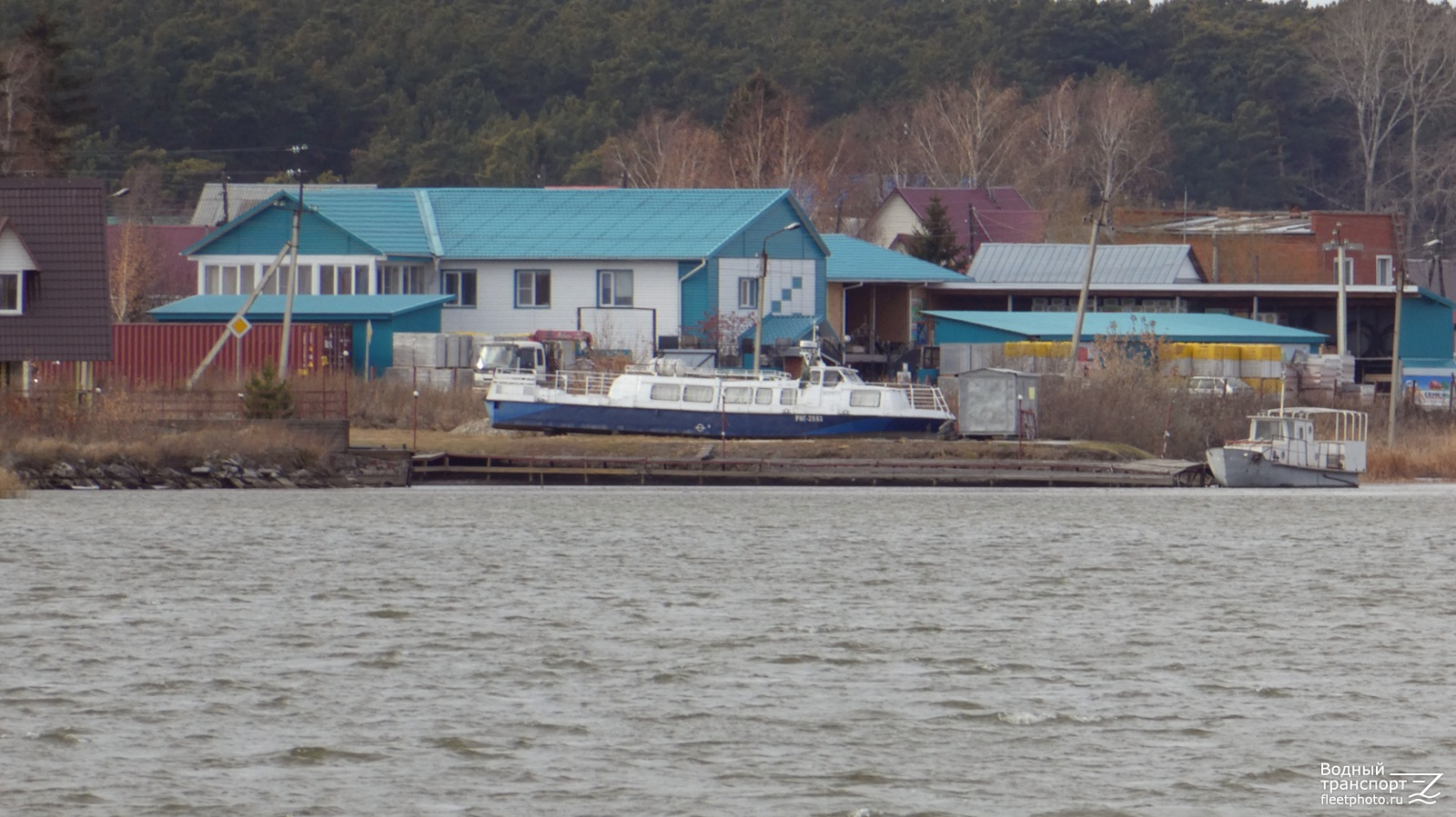 Беркут