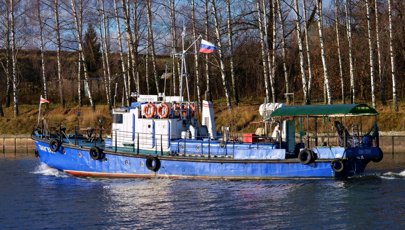Пингвин