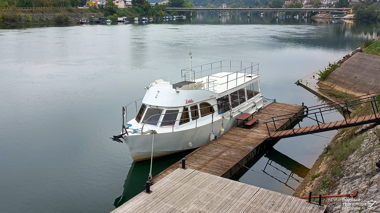 Lotika