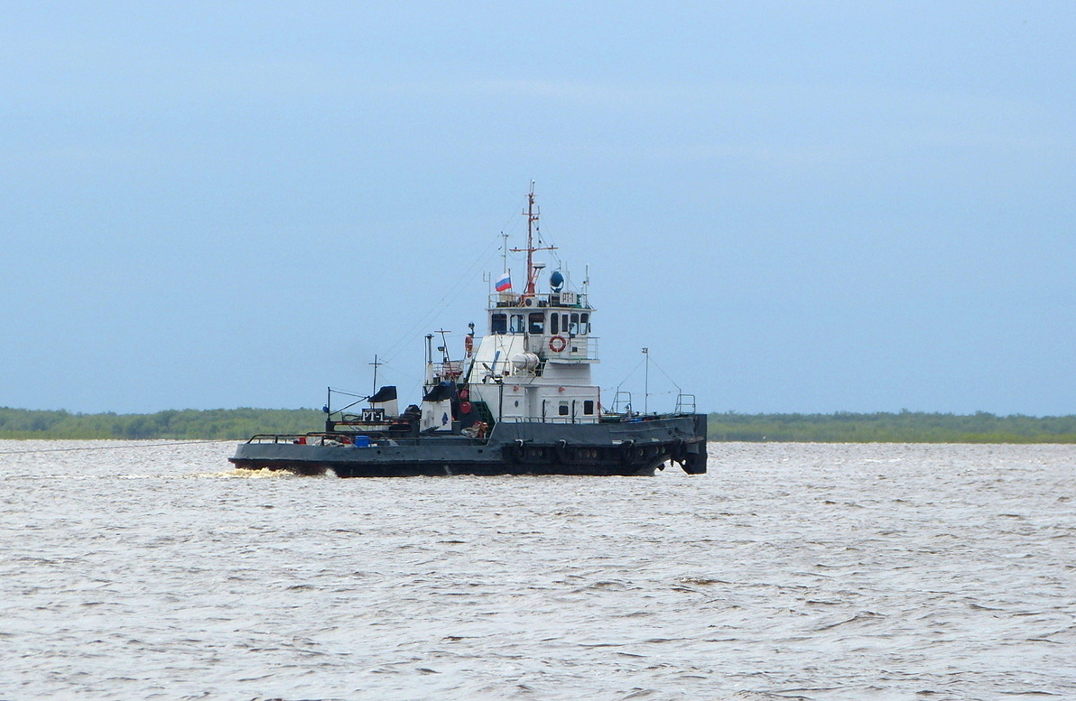 РТ-1