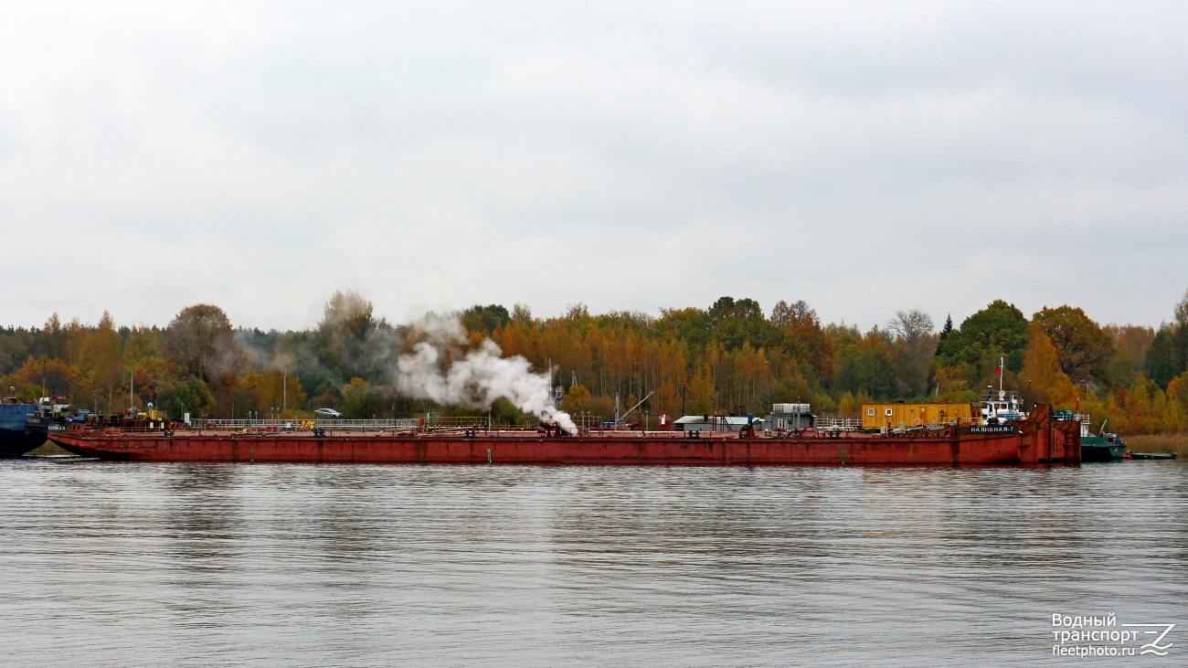 Наливная-7