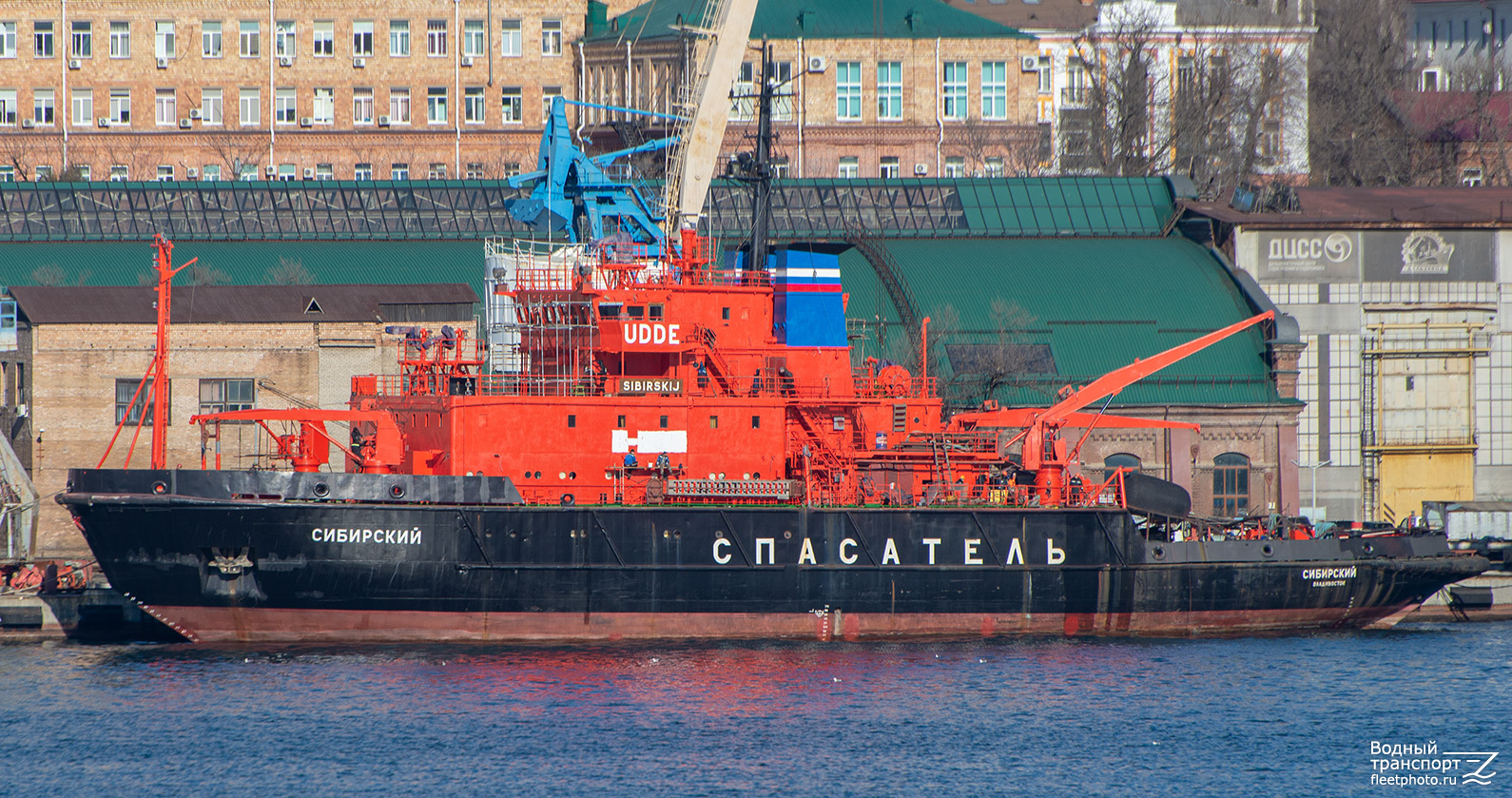 Сибирский